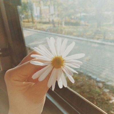 海底人鱼纸牌接龙